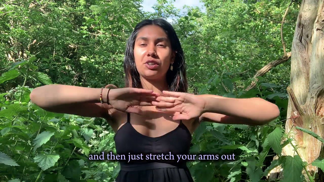 Sun Salutations (2)4