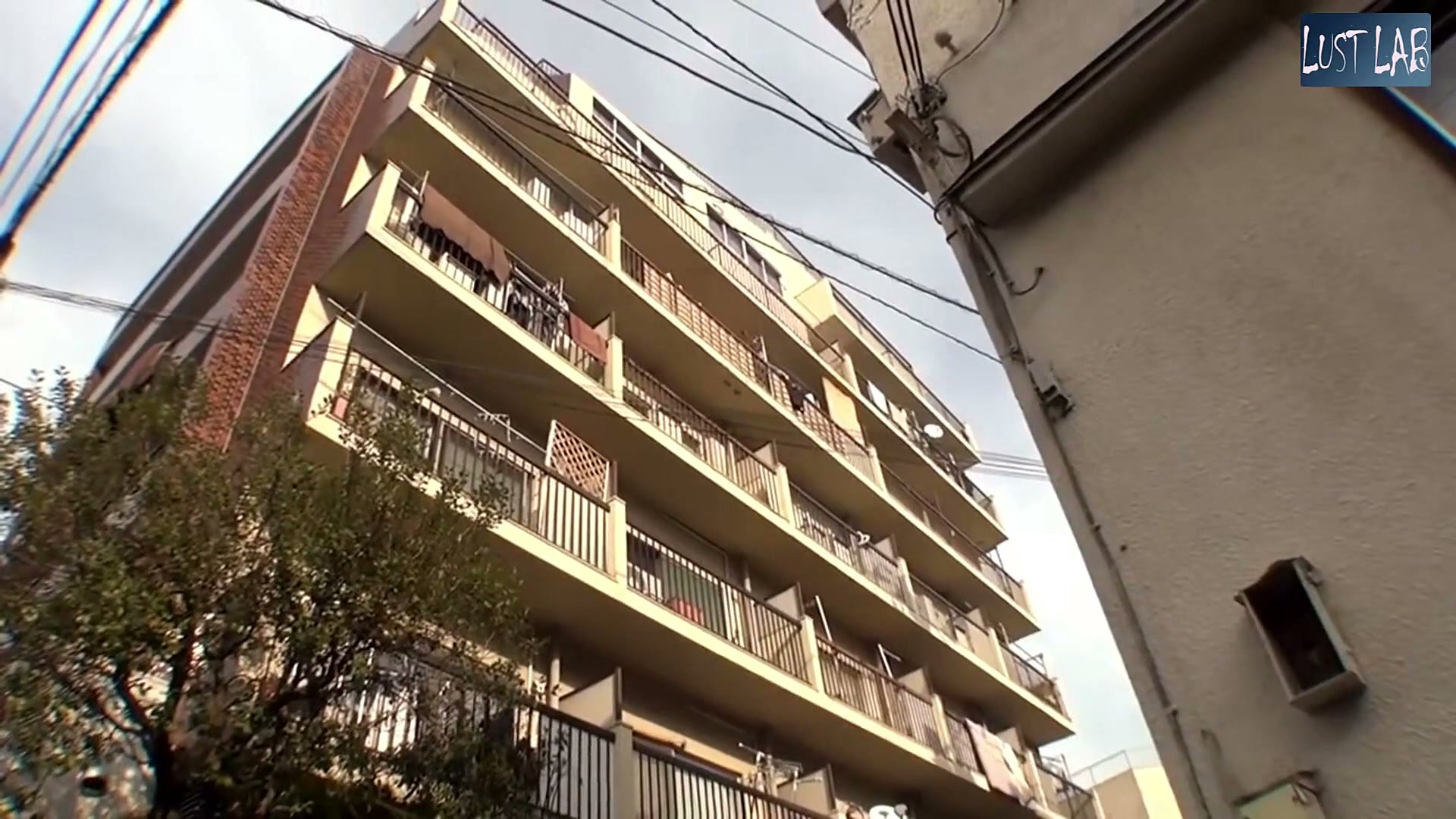 Frame 1