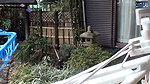 Lonely Widow Next Door – Years of Restraint Finally Breaking in a Dangerous Moment – Part 1