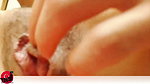 Nasty Slutty Babies 0237 uncensored