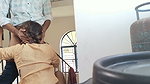 Indian Teacher and Student Ki New Viral Video Liked
