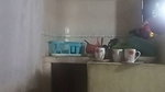 Maid Fucked in the Kitchen (my Wife Almost Found Us Out)