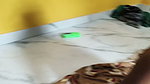 My college time cute girlfriend my room bedroom sex in hindi fuck