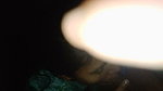 Night Blowjob in Deep Forest Where No One Comes