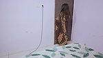 Sexy Bhabhi Devar Ne Flating Karke Pata Liya Uske Baad Puri Raat Kiya Sex
