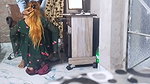 Sexy staff had a great sex video with the accountant in the office.