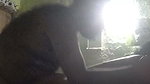 Unsatisfied Desi Village Bhabhi Fucked with Her Devar