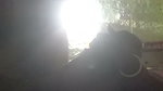 Unsatisfied Desi Village Bhabhi Fucked with Her Devar