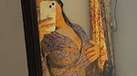 Busty Indian Horny Tanker Wife Blowjob Fucking Fingering Solo Videos Full Collection48