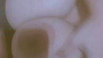 God__8_1
