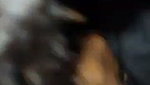 Godf__4_2