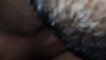 Godf__11_1