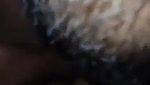 Godf__11_1