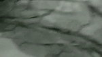 Godf__15_2