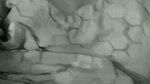 Godf__15_2