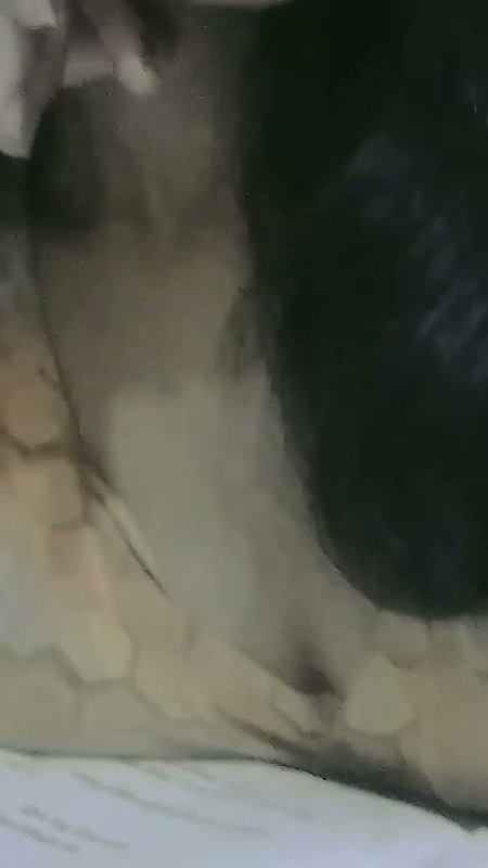 Godf__19_1