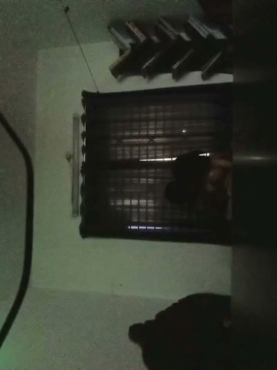 Horny Bhabi Fucking Affair BJ, Hard Fucking Squirting, Cum On Body updates 232
