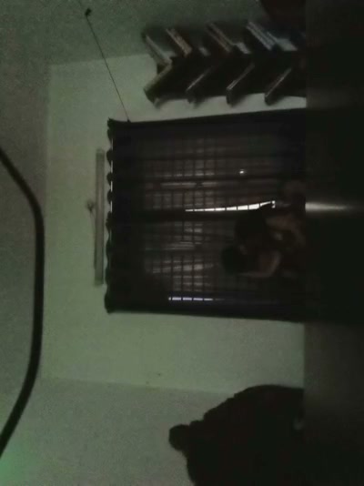 Frame 6