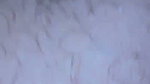 Huge Boobs Indian Tanker Dr Bj Doggy Fucking Teasing Striping Full Collection85