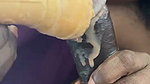 Mallu wife giving icecream blowjob 22