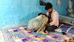 Desi Village Teen Couple Hardcore Fucking