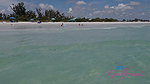 Dez Hansen – Sarasota 4