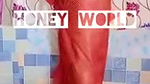 Youtuber Honey World membership collection -1