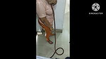 Antra vlogs latest