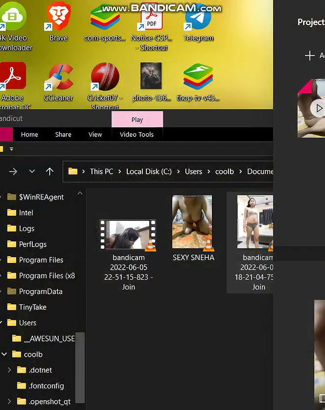 ID+Caption stripchat ticket show
