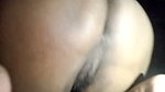 Shi stripchat ticket show