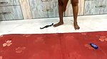 Housewife ThreeGirls stripchat ticket show