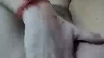 22 2 stripchat ticket show