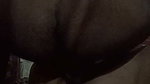 Couple Desi Fuck