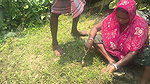 Dost ki bhabhi ko Jungle Safai karte waqt chudai ki
