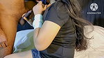 Hairy ameature newly wedded lovely girl want more on first day sex