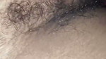 Hairy Pussy