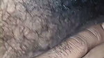 Hairy Pussy