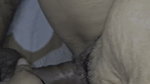 I am fucking my wife