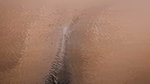 Indian girl pussy fingering masterbat enjoining and dirty talk