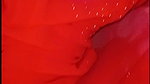 Indian new couple hotel room hard fucking l video