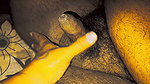 Laila and Majnoo got excited at night