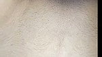 Mary Bian’s Hundred Sex Videos