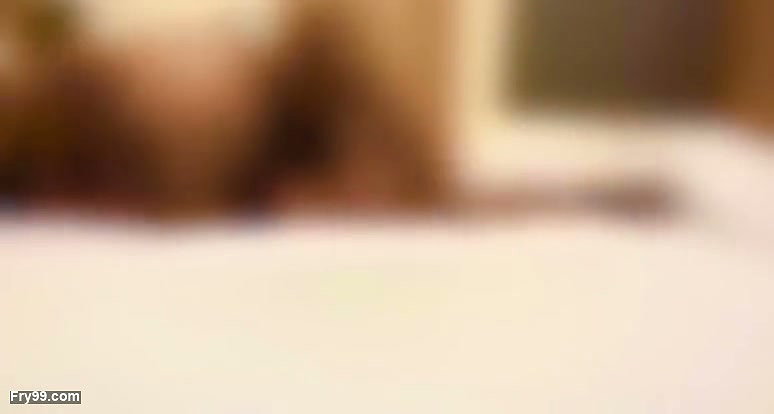 Newly Married Indian Couple Having Sex in Hotel Room fucked