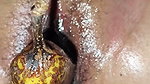 Pumped bananas and bottles into sister-in-law’s pussy and fucked her a lot