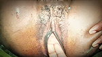 Sexy Nikita Sharma And Kirtan Kumar Night Fuking