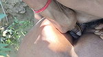 Sister-in-law itches in
