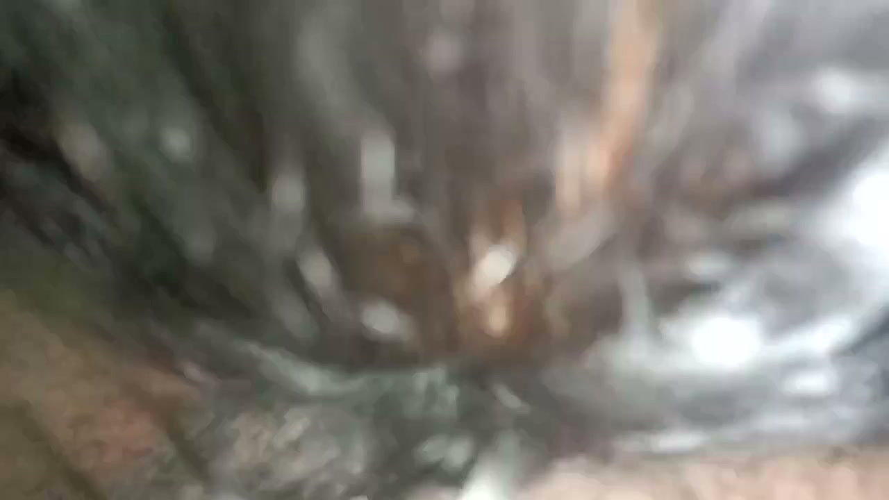 Tamil bhabhi very hot blowjob in indian homemade