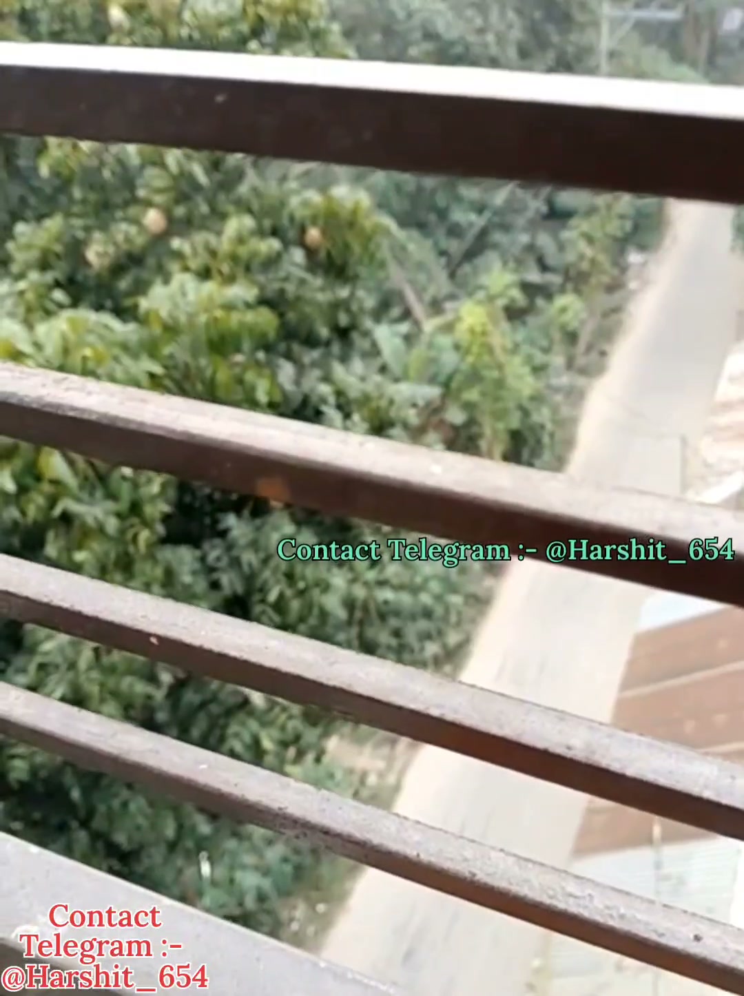 Frame 9