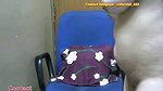Cutiepie Pvt 13Min stripchat ticket show
