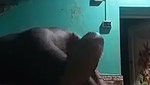 villege shy bhabhi hard fingering and fucking affair with devar full sess 22